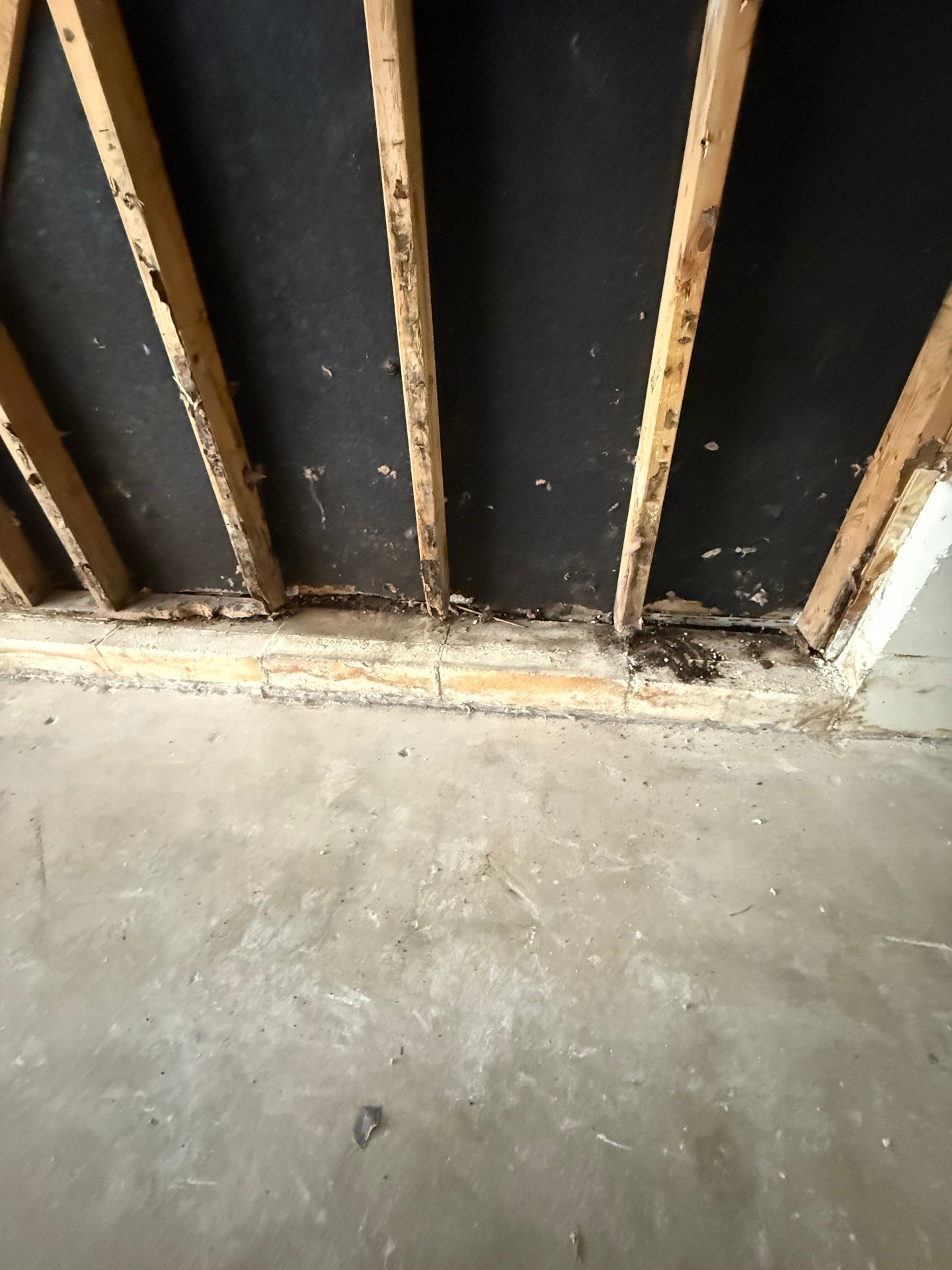 Detailed look at the lower studs and sill area documenting the worst of the water damage before repair work started