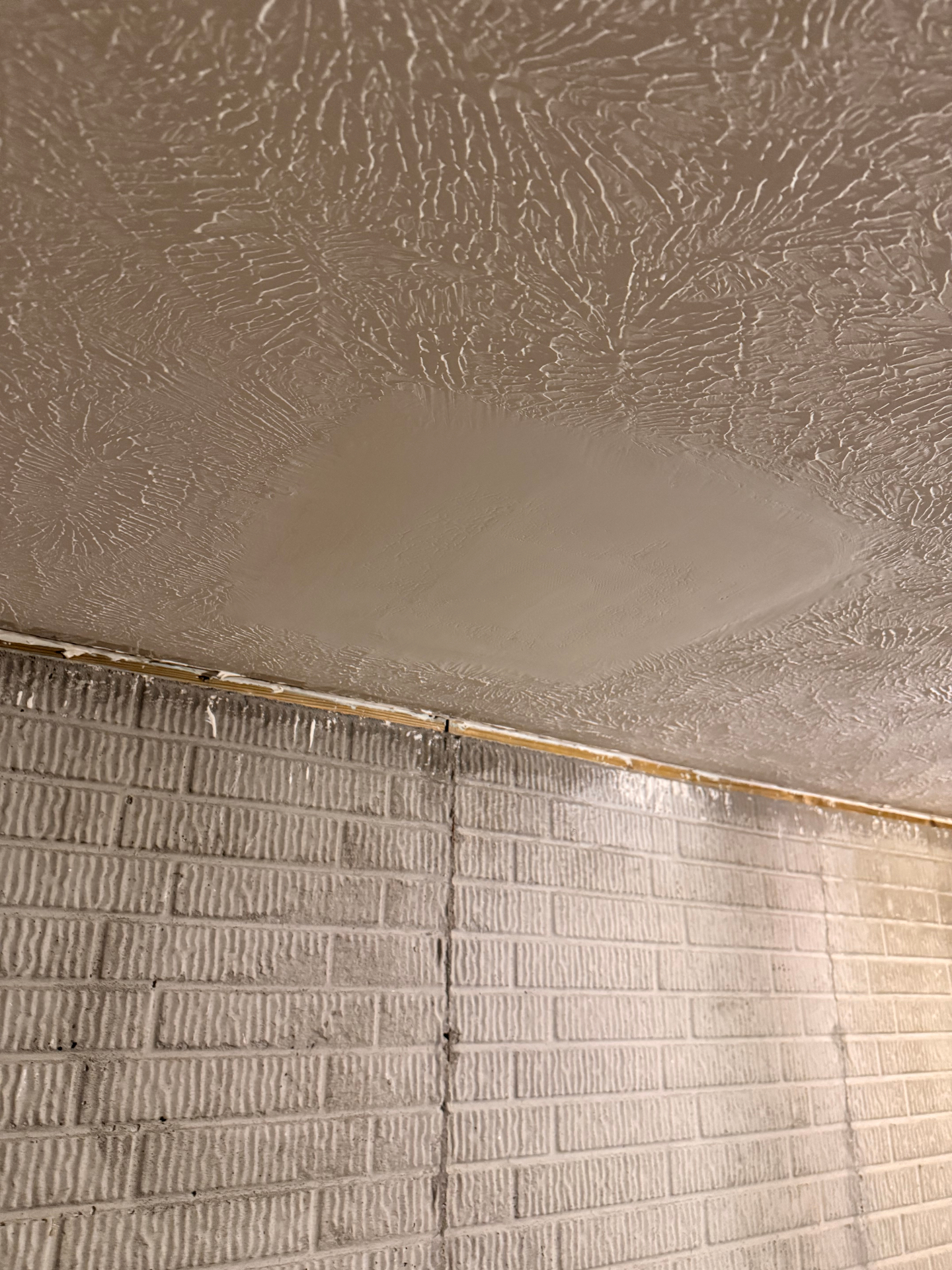 Ceiling Repairs project