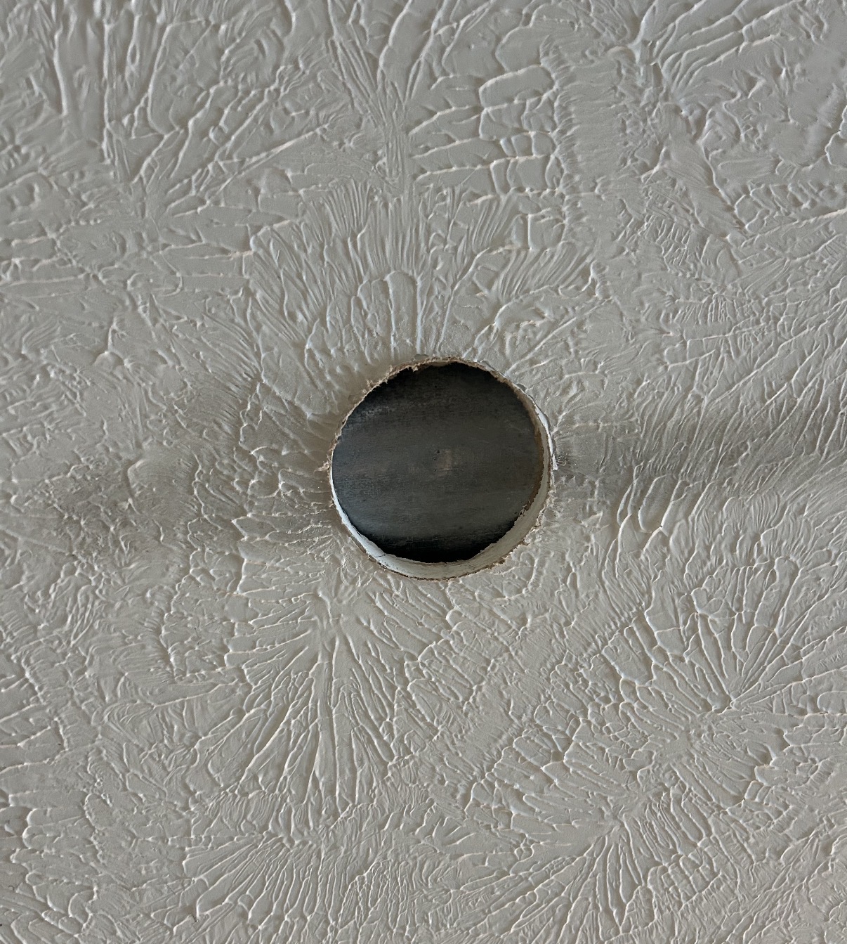 Ceiling Repairs project
