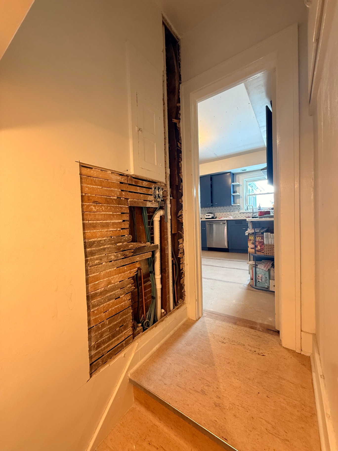 Plaster Repair project