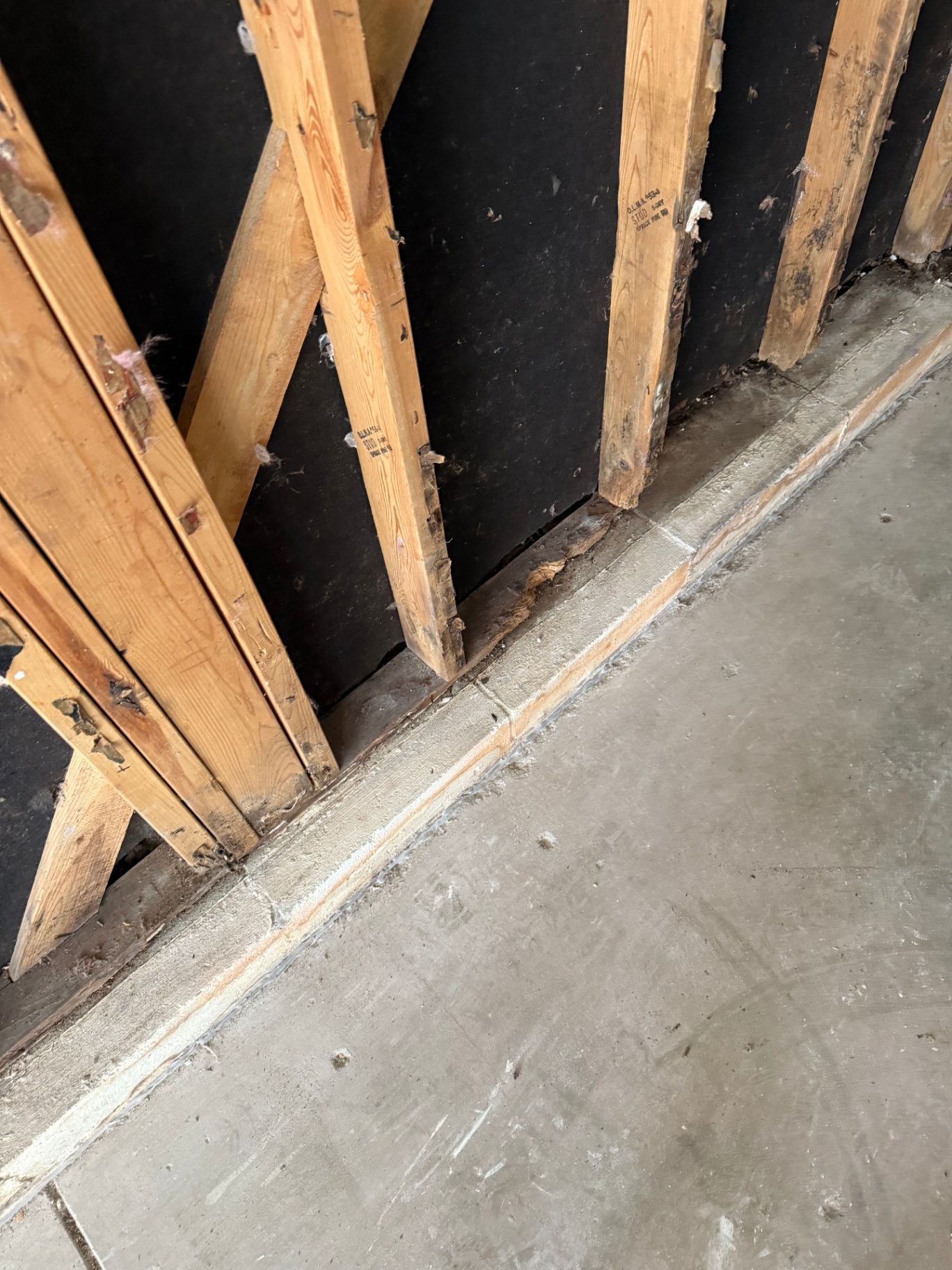 Close-up of water-damaged wood at the bottom of the wall with visible deterioration where moisture sat against the framing