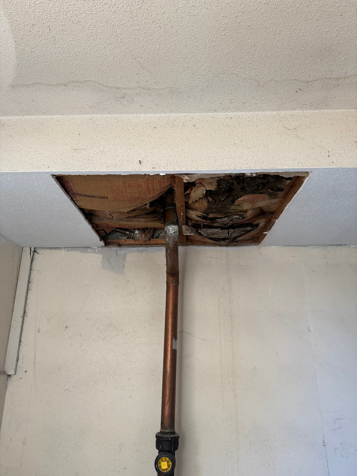 Ceiling opened up around the plumbing run after water damage — wet insulation and damaged material exposed for removal