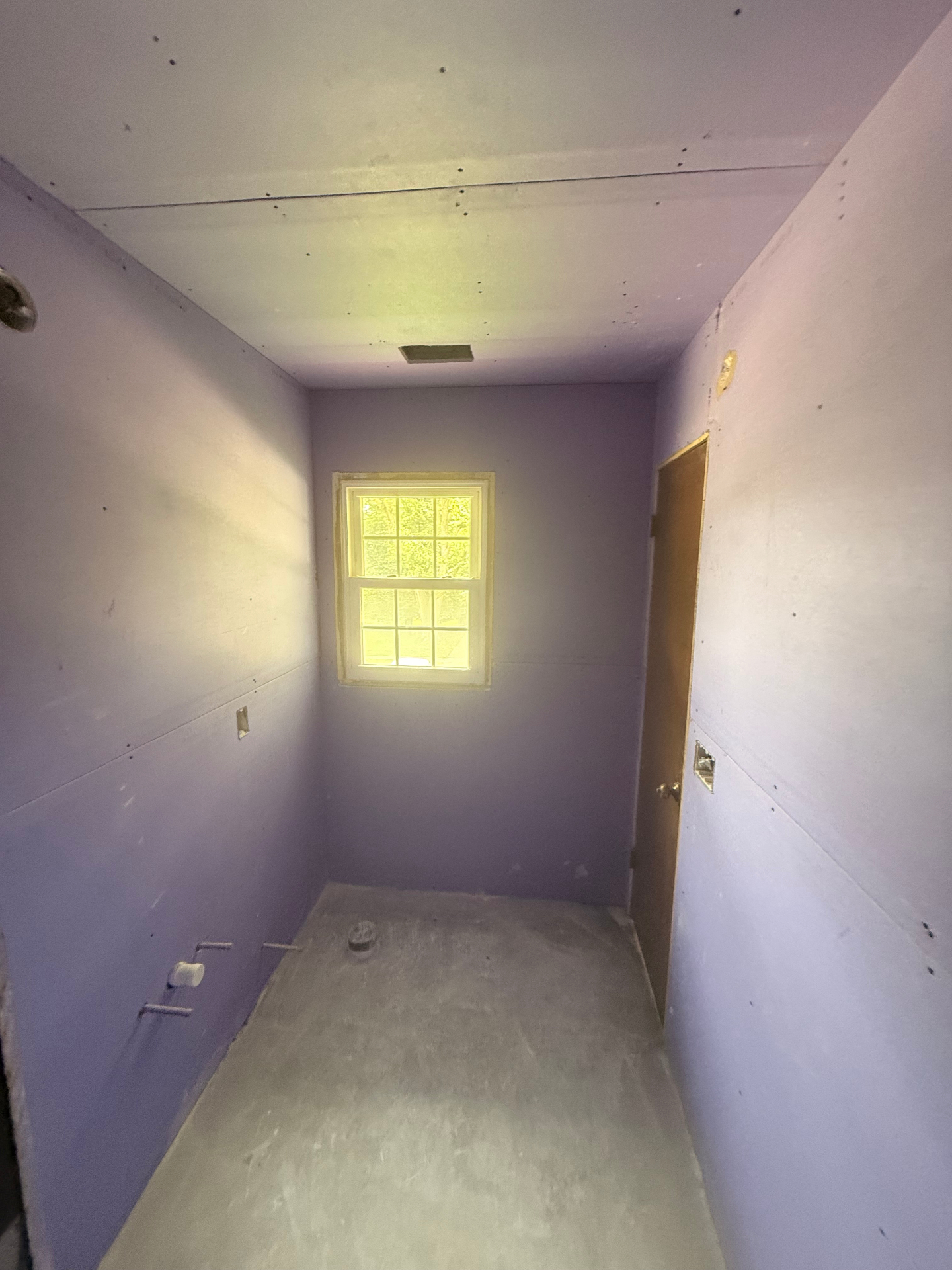 Mold-Resistant Drywall project