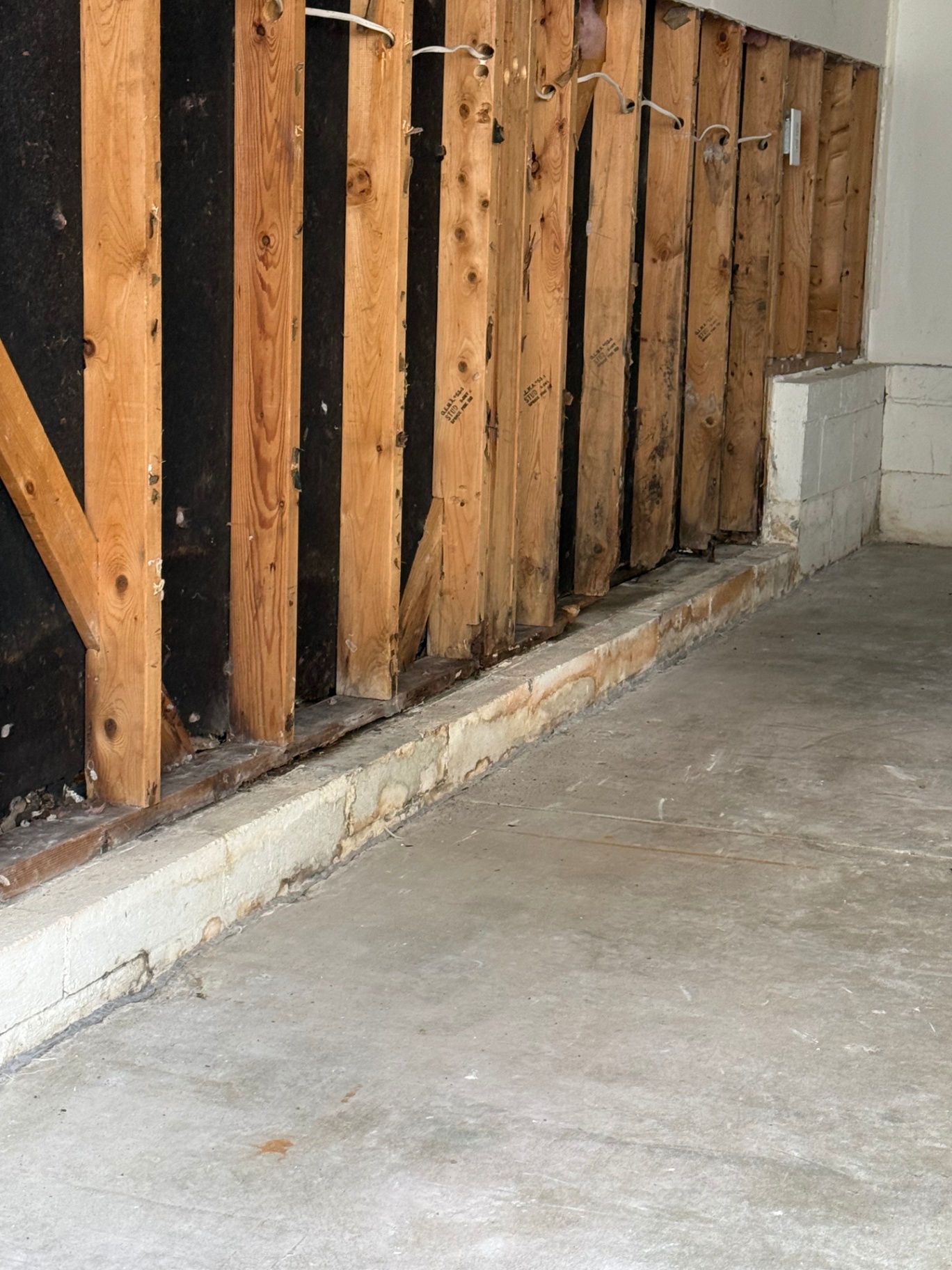Wide angle on the opened wall showing staining and deterioration concentrated along the lower ends of multiple studs
