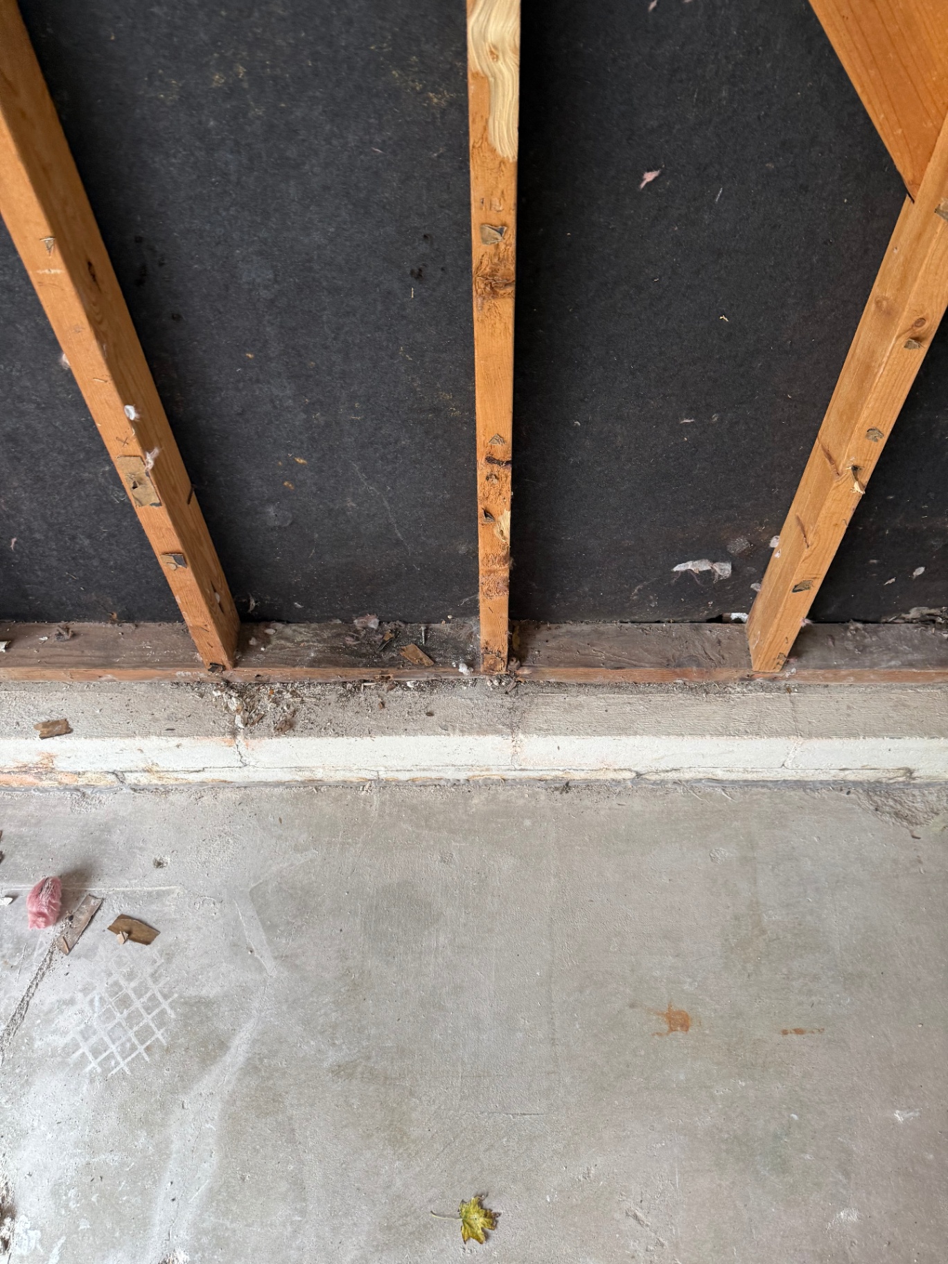 Close-up of the sill line and lower framing where moisture damage collected along the concrete edge