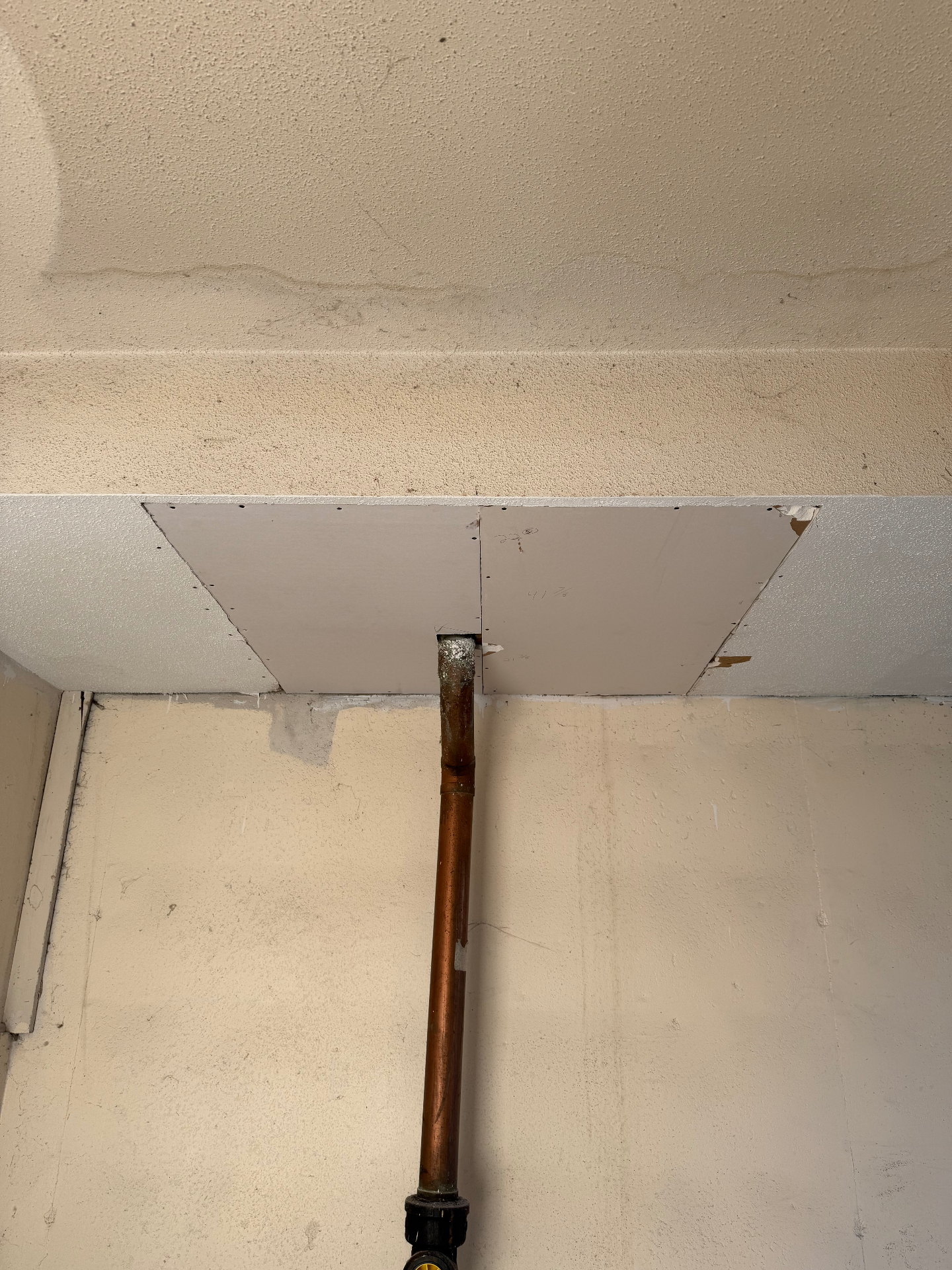 New ceiling patch pieces cut in tight around the pipe and fastened off, ready for tape and mud