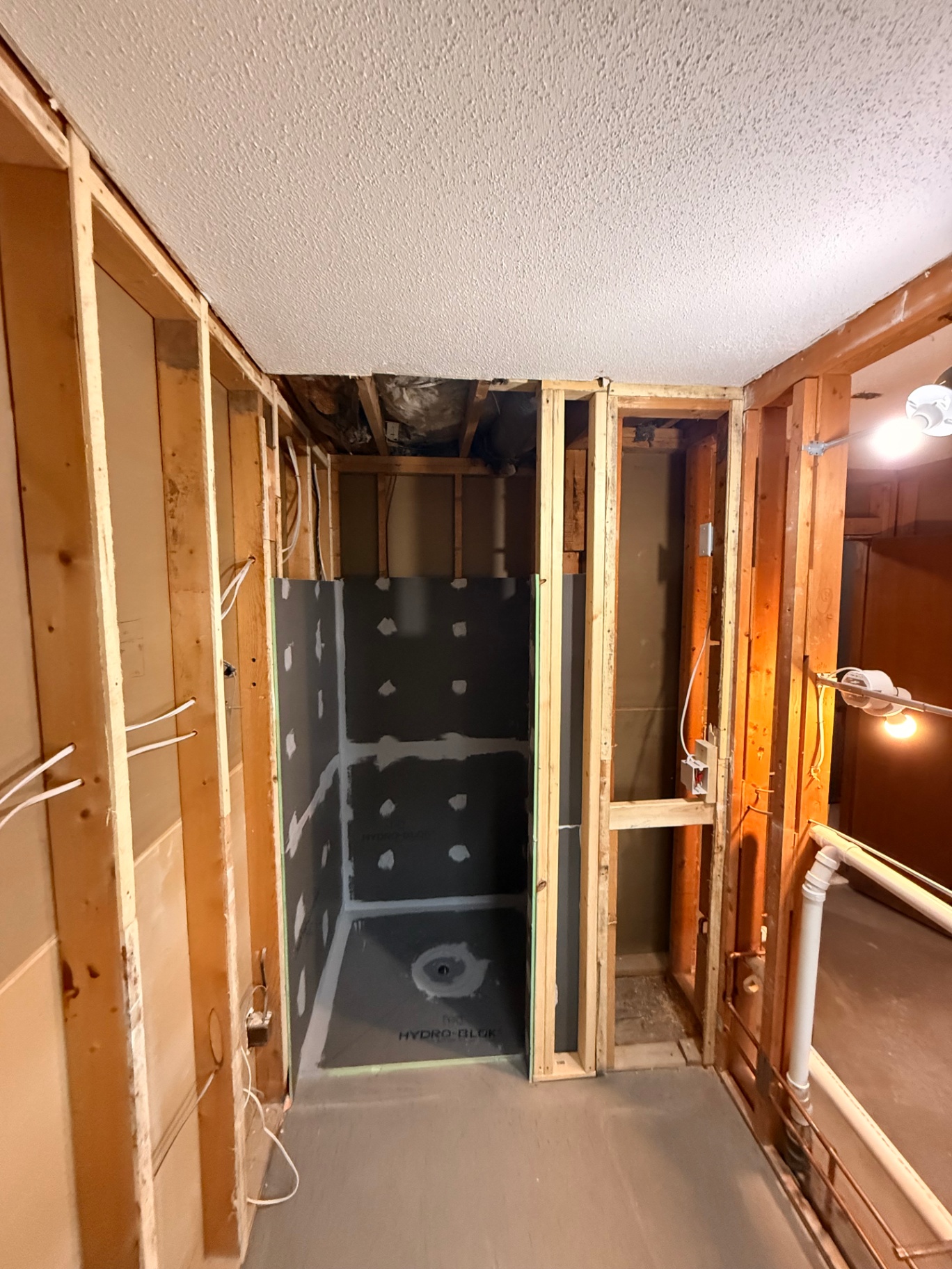 Mold-Resistant Drywall project